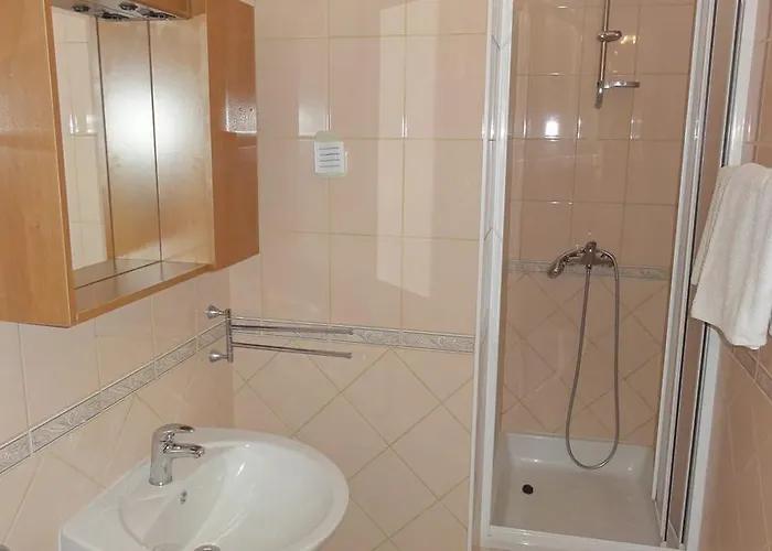 아파트 Dvorine 티스노